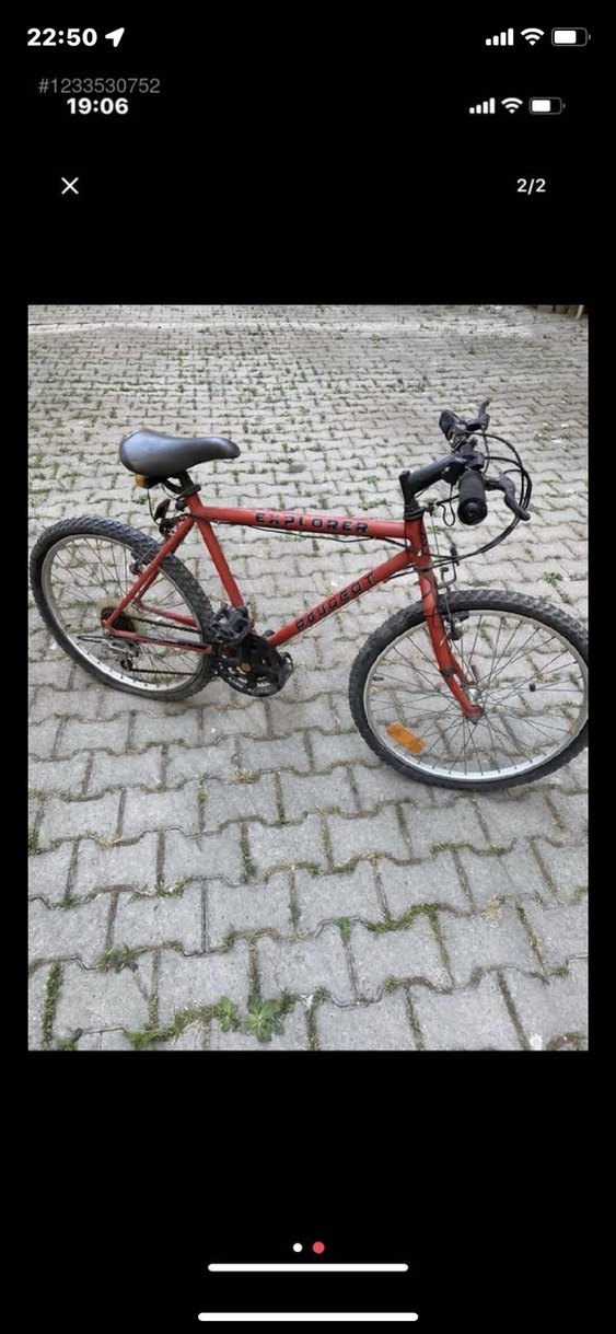 Pegaut Dağ Bisikleti - Görsel 3