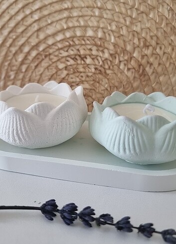 2 li lotus mum