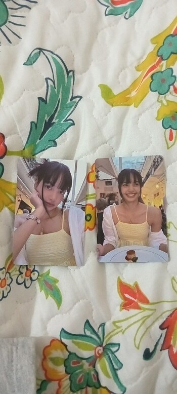 Lisa pc