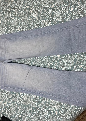 Mavi victoria - Görsel 4