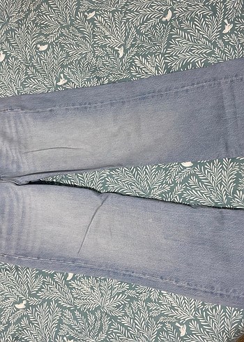 Mavi victoria - Görsel 2