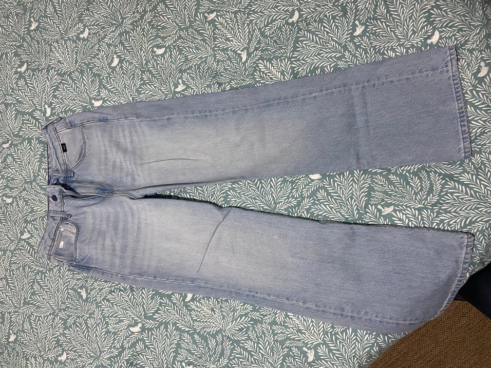 Mavi victoria - Görsel 2