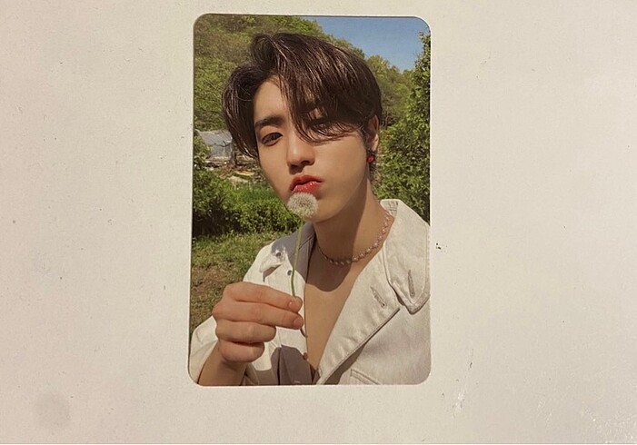 Maxident Jisung Pc