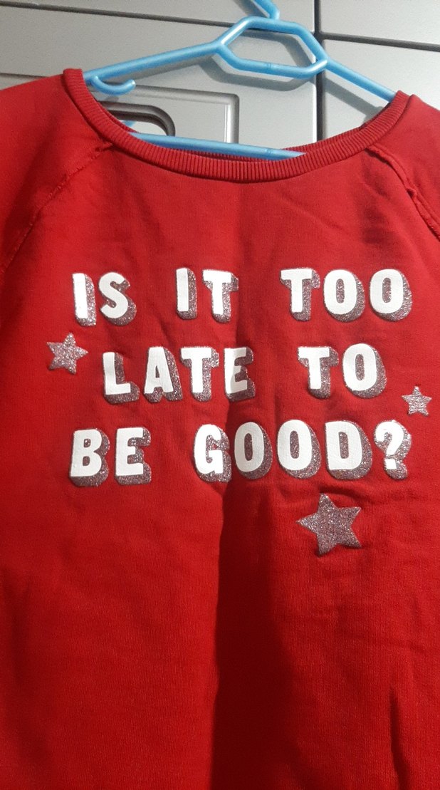 Kırmızı Baskılı çocuk  Sweatshirt - Görsel 2