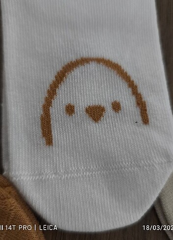 7 adet erkek bebek çorabı 0 Koton - Görsel 5