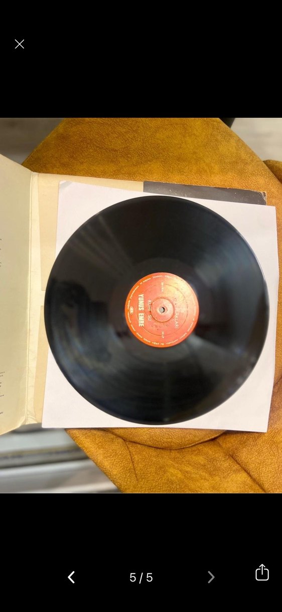 Yunus Emre Ruhi Su 1972 dönem plağı - Görsel 5