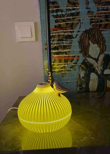 Hava nemlendiricisi - Görsel 2