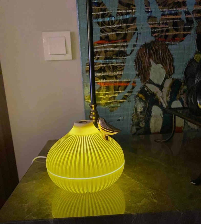 Hava nemlendiricisi - Görsel 2