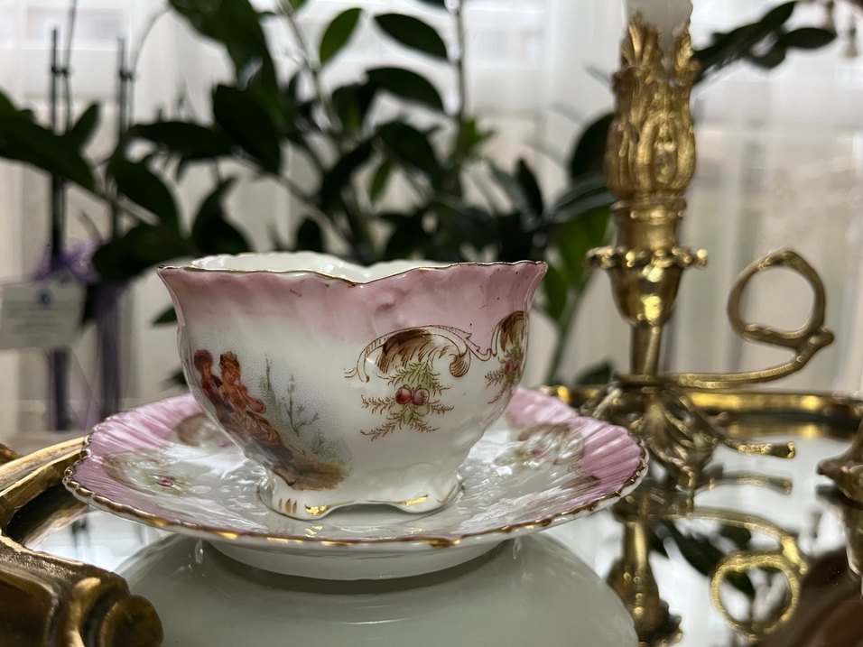 Pembe ve Altın Detaylı Porselen Tabak - Görsel 3