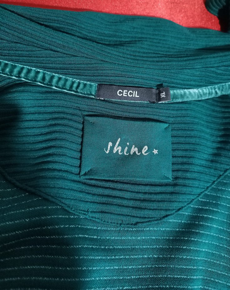 Shıne Cecıl Yeşil Kadın Ceket - Görsel 5