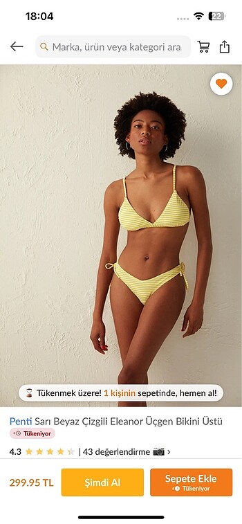 Penti bikini takımı