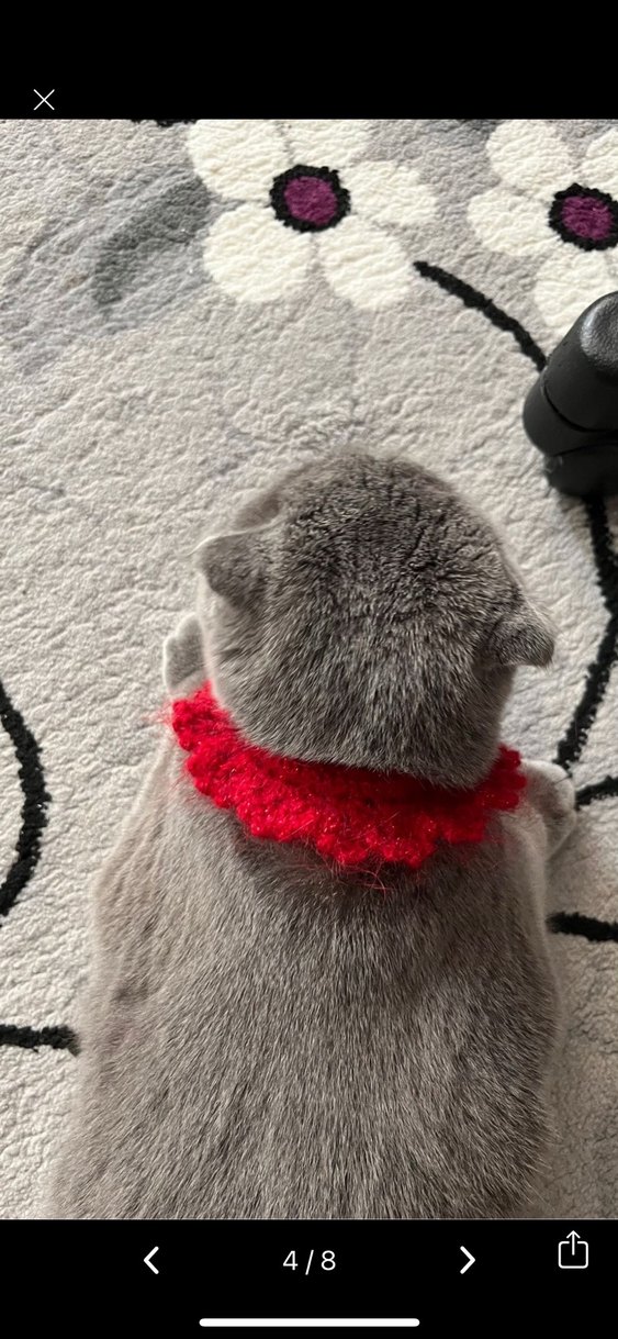 Simli Kırmızı Örgü Tasma - Görsel 4