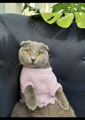 Lila Kedi Aksesuarı Örgü Yelek - Görsel 4