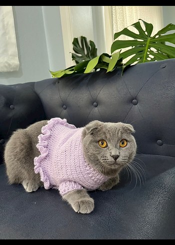 Lila Kedi Aksesuarı Örgü Yelek - Görsel 3