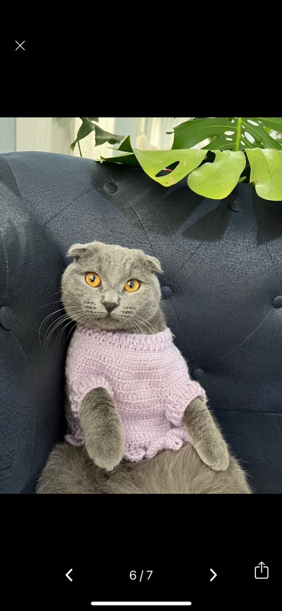 Lila Kedi Aksesuarı Örgü Yelek - Görsel 4