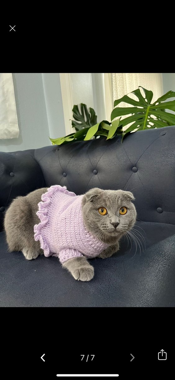 Lila Kedi Aksesuarı Örgü Yelek - Görsel 3