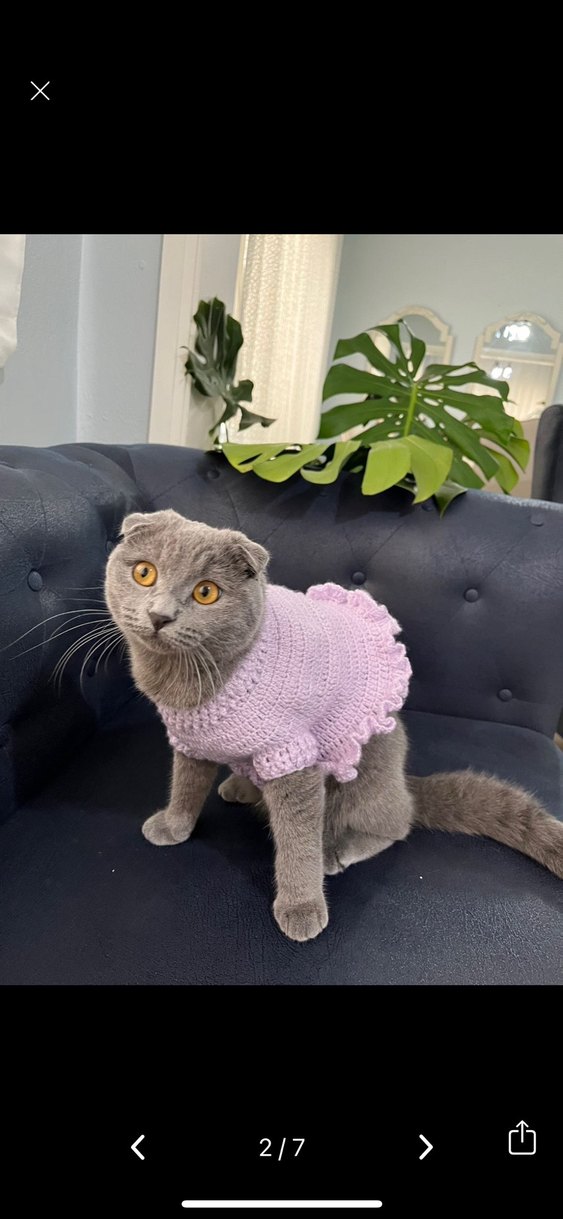 Lila Kedi Aksesuarı Örgü Yelek - Görsel 2