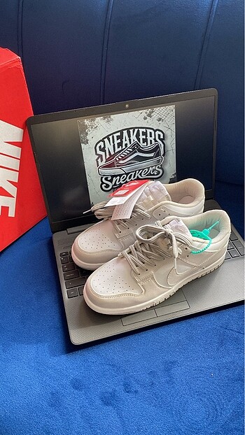 Nike dunk grey