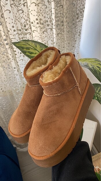 UGG BOT