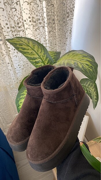 UGG BOT
