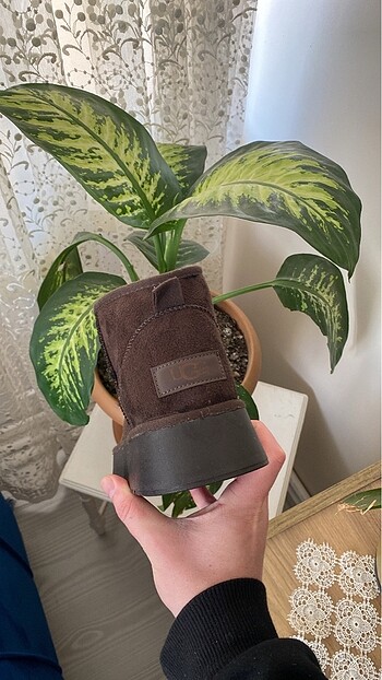 40 Beden UGG BOT