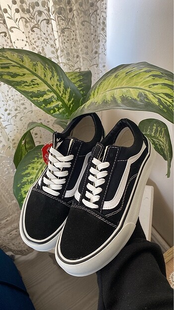Vans vans old skool