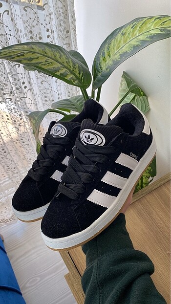 Adidas Campus