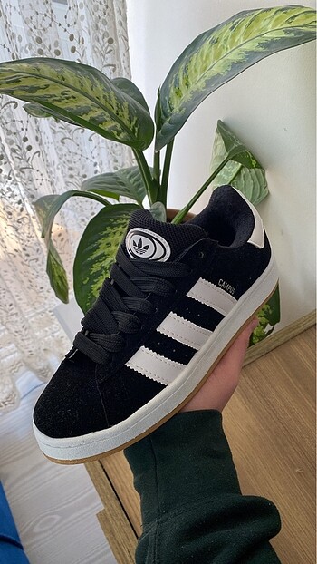 Adidas Adidas Campus