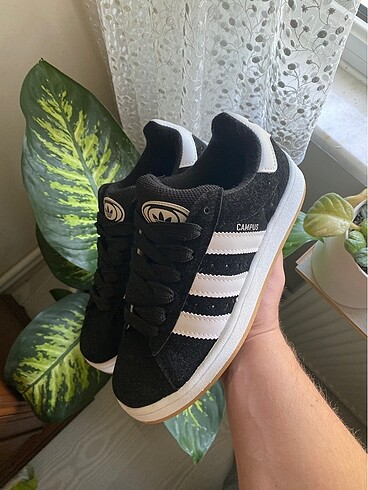 Adidas campus