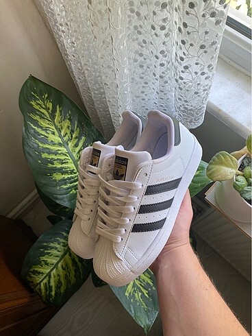 Adidas superstar