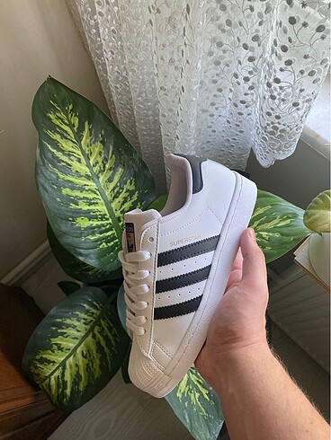 Adidas Adidas superstar
