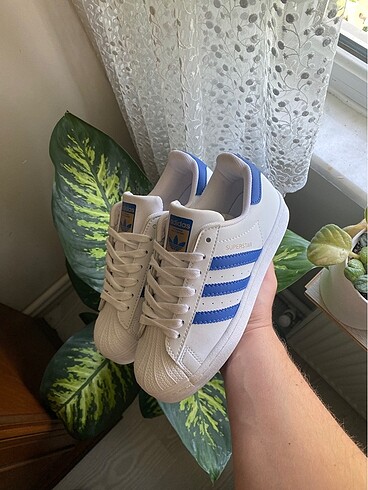 Adidas superstar