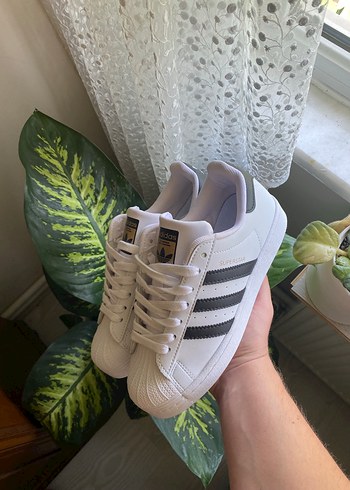 Beyaz Adidas Süperstar Zebra Desenli Kadın Spor Ayakkabı
