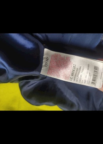 Mavi Kapüşonlu Fermuarlı Kış Montu - Görsel 8