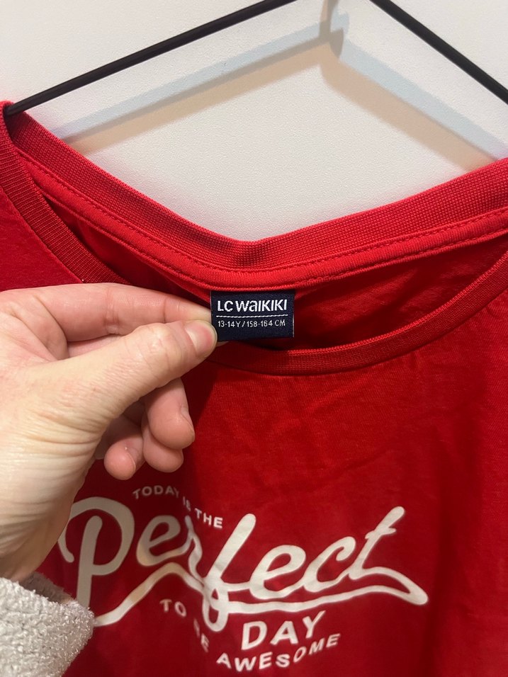 Kırmızı Baskılı Tişört - Görsel 2