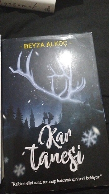  Beden Beyza Alkoc Serisi