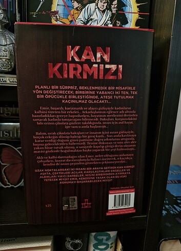  Beden Kan Kırmızısı Aslı Karabulut