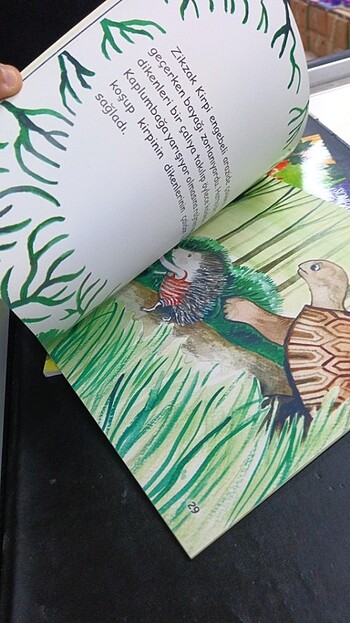  Beden Renk 2 adet kitap 