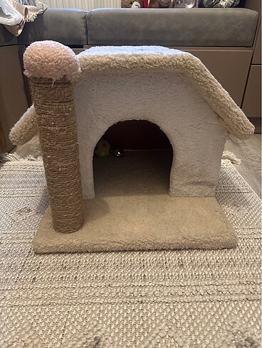 Kedi evi