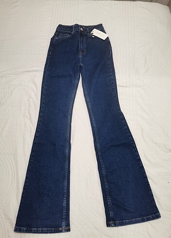 Kot Jean 