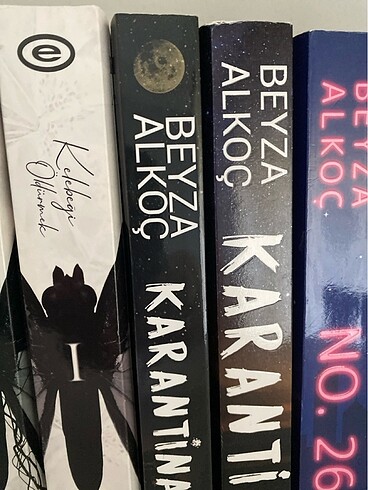 Beyza Alkoç kitap seti