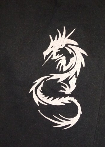 Kadın Siyah Baskılı Fermuarlı Eşofman Altı - Görsel 2