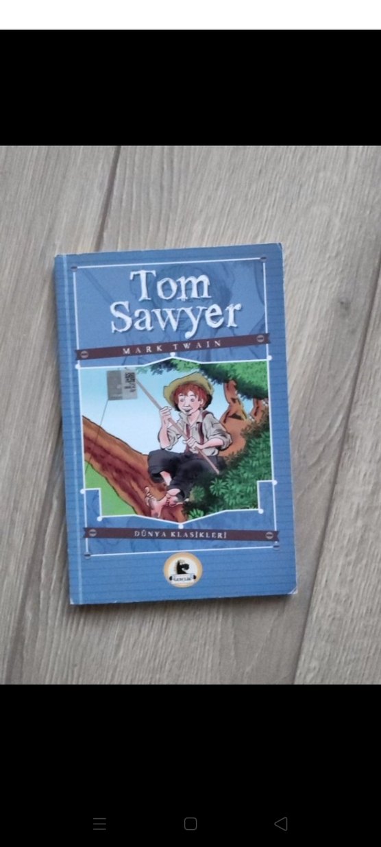 Dünya Klasikleri Çocuk Kitapları Seti - Görsel 4