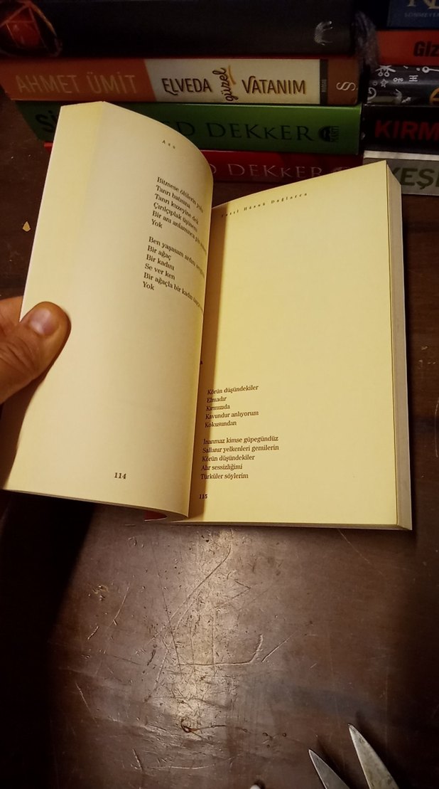 ASU - DAĞLARCA / HÜSNÜ FAZIL DAĞLARCA - Görsel 5