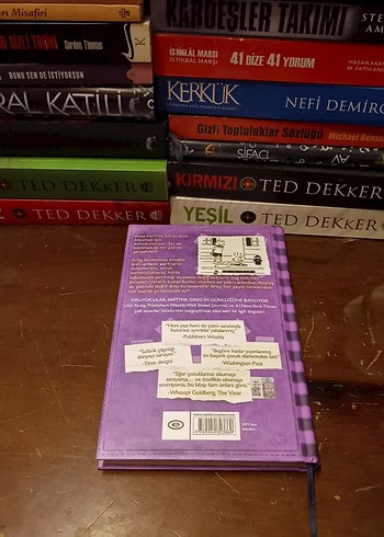 Saftirik Greg'in Günlüğü - Ama Bu Haksızlık! 2024 - Görsel 14