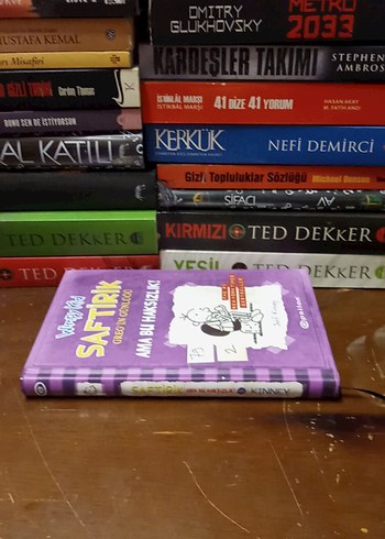 Saftirik Greg'in Günlüğü - Ama Bu Haksızlık! 2024 - Görsel 12