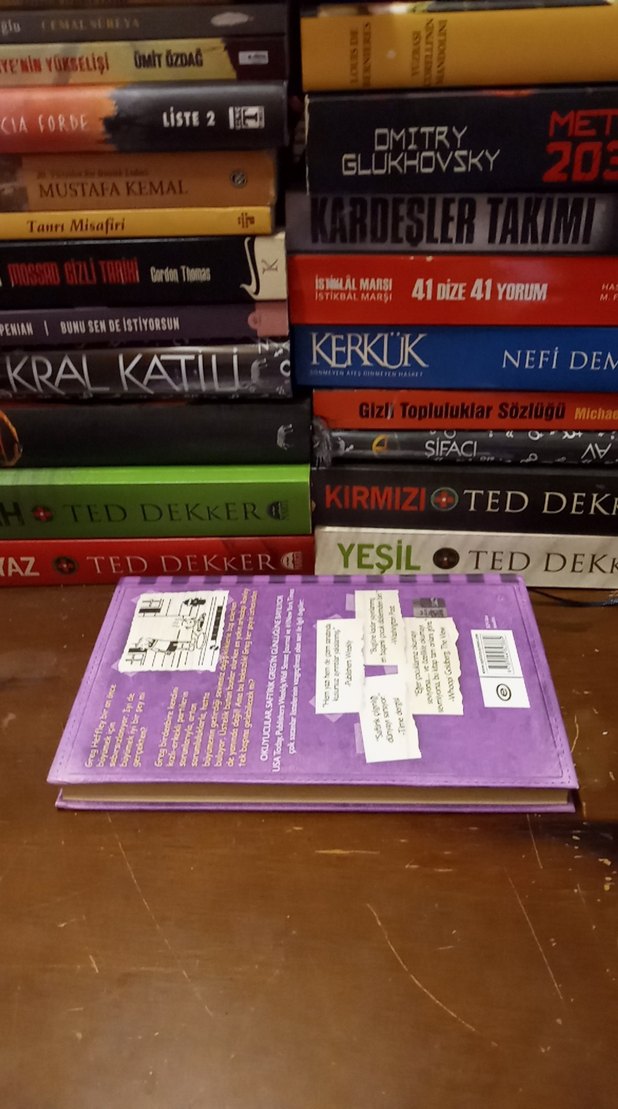 Saftirik Greg'in Günlüğü - Ama Bu Haksızlık! 2024 - Görsel 2