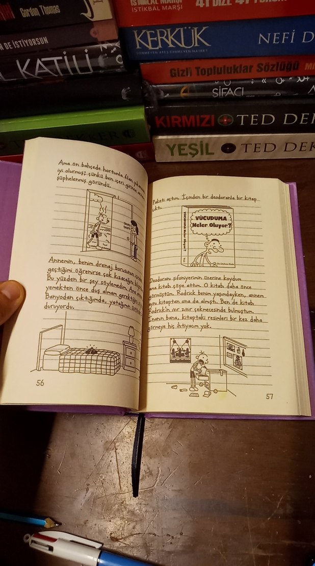 Saftirik Greg'in Günlüğü - Ama Bu Haksızlık! 2024 - Görsel 5