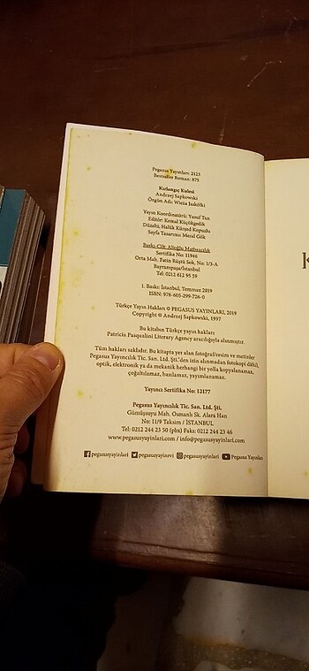 KIRLANGIÇ KULESİ - THE WITCHER 6  - Görsel 4