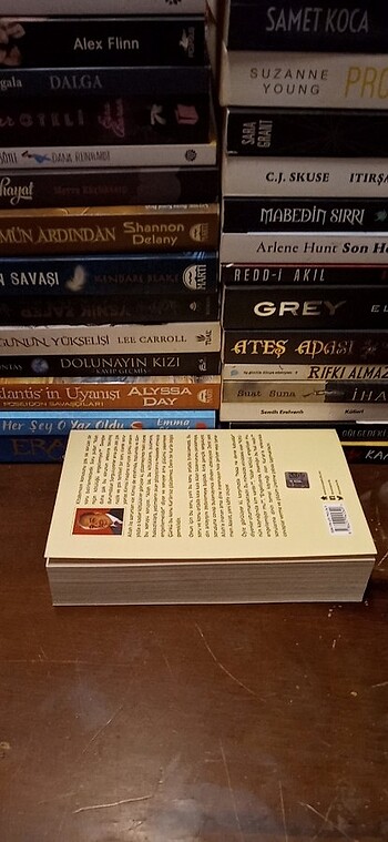 Allah Niçin Kötülüğü Engellemiyor?
- Görsel 2